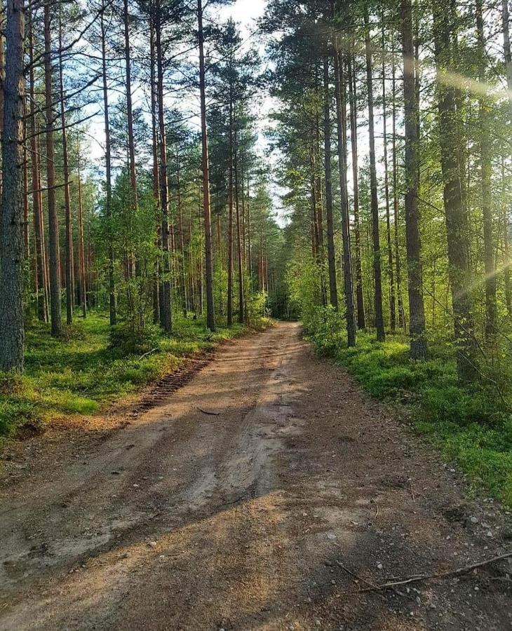 Glampingtaelt Hotel Torsby Bagian luar foto
