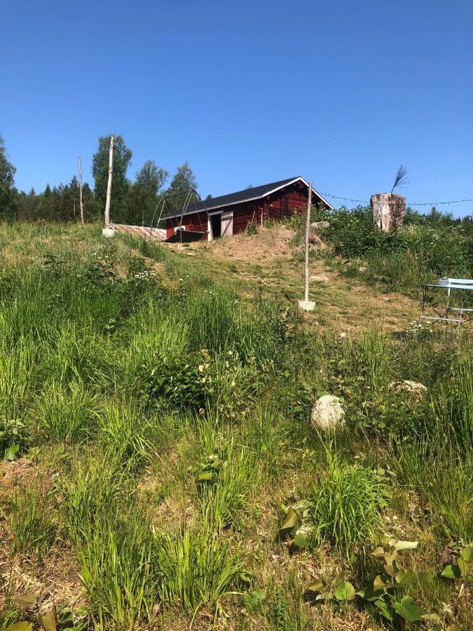 Glampingtaelt Hotel Torsby Bagian luar foto